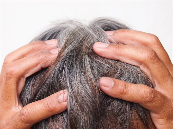 1734404882917232.jpg 112.jpg