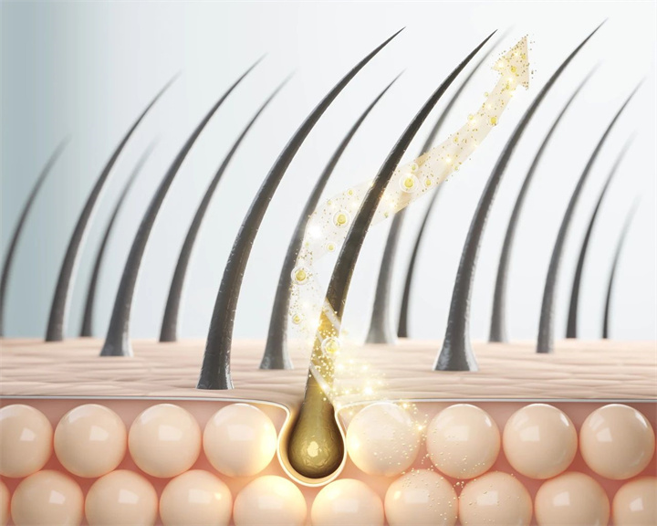 1734404904720592.jpg 113.jpg