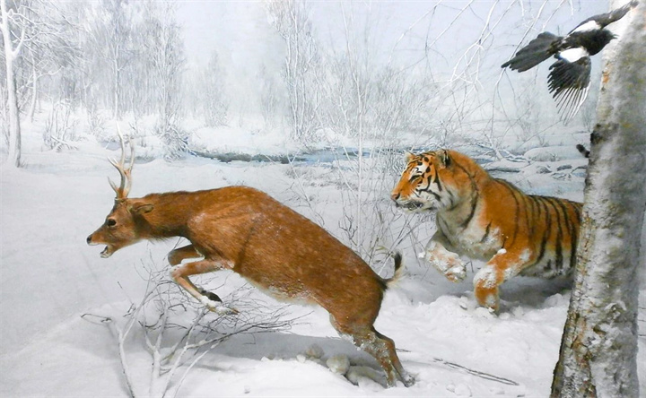 89.jpg