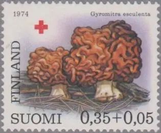 178.jpg