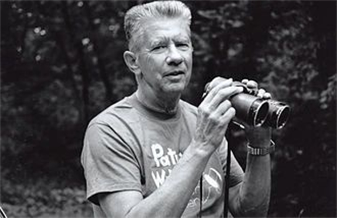 196.jpg