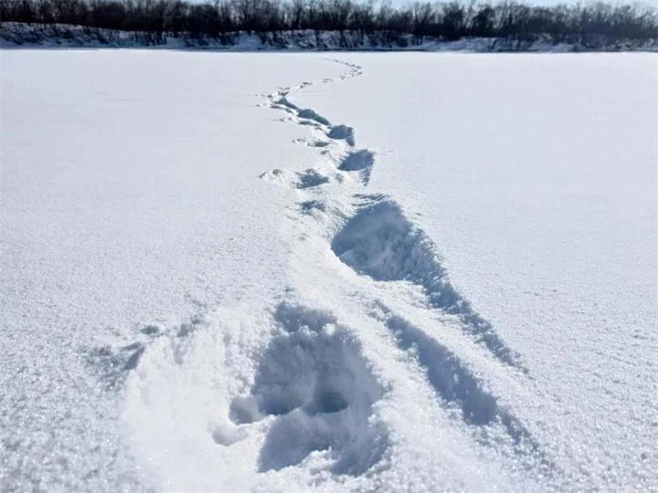 238.jpg