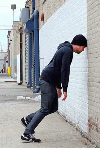 221.gif