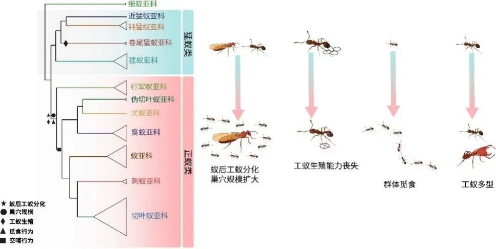405e04f40c7f7a79a467c2a4f49b2b91.jpg
