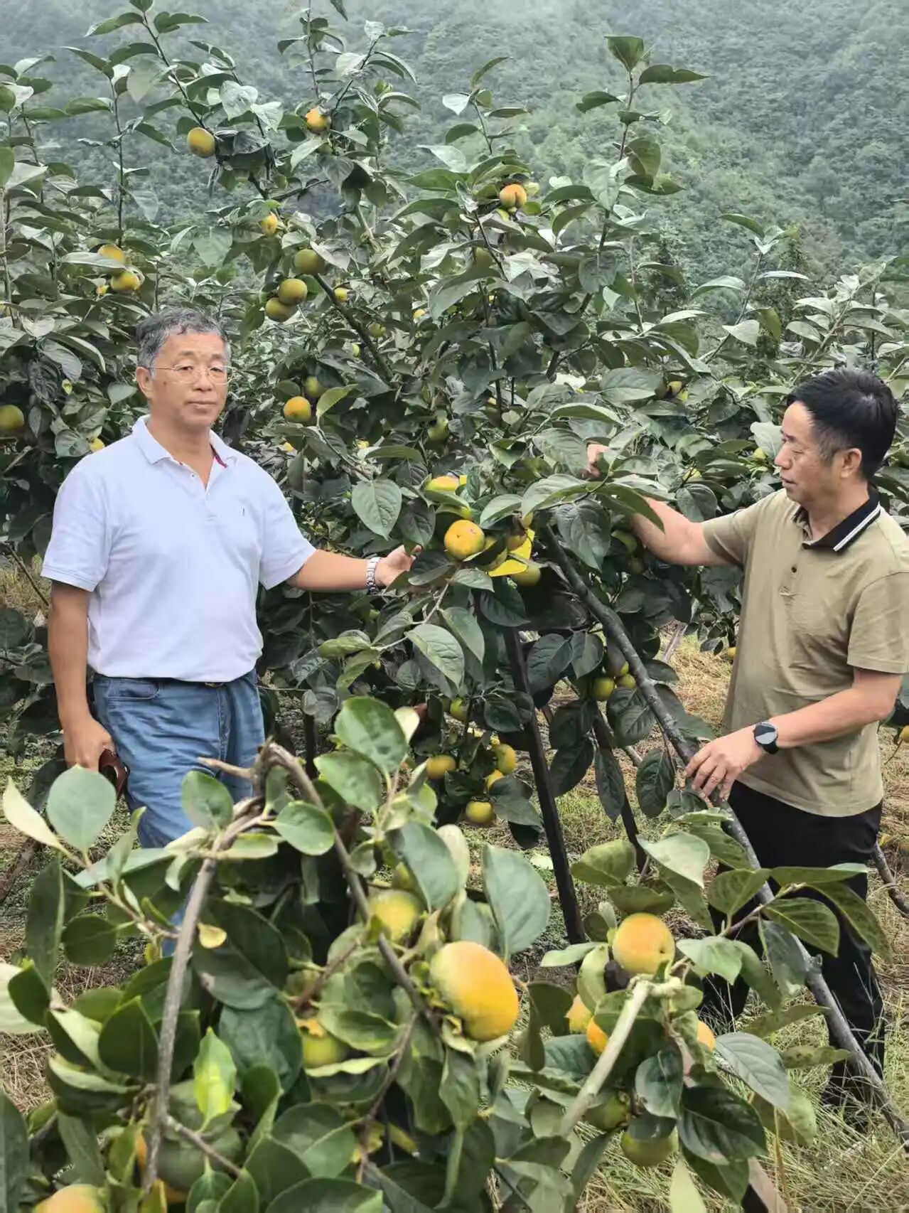 1760424224738605.jpg 8a8075535e53bc19d95ec71d396e028f.jpg