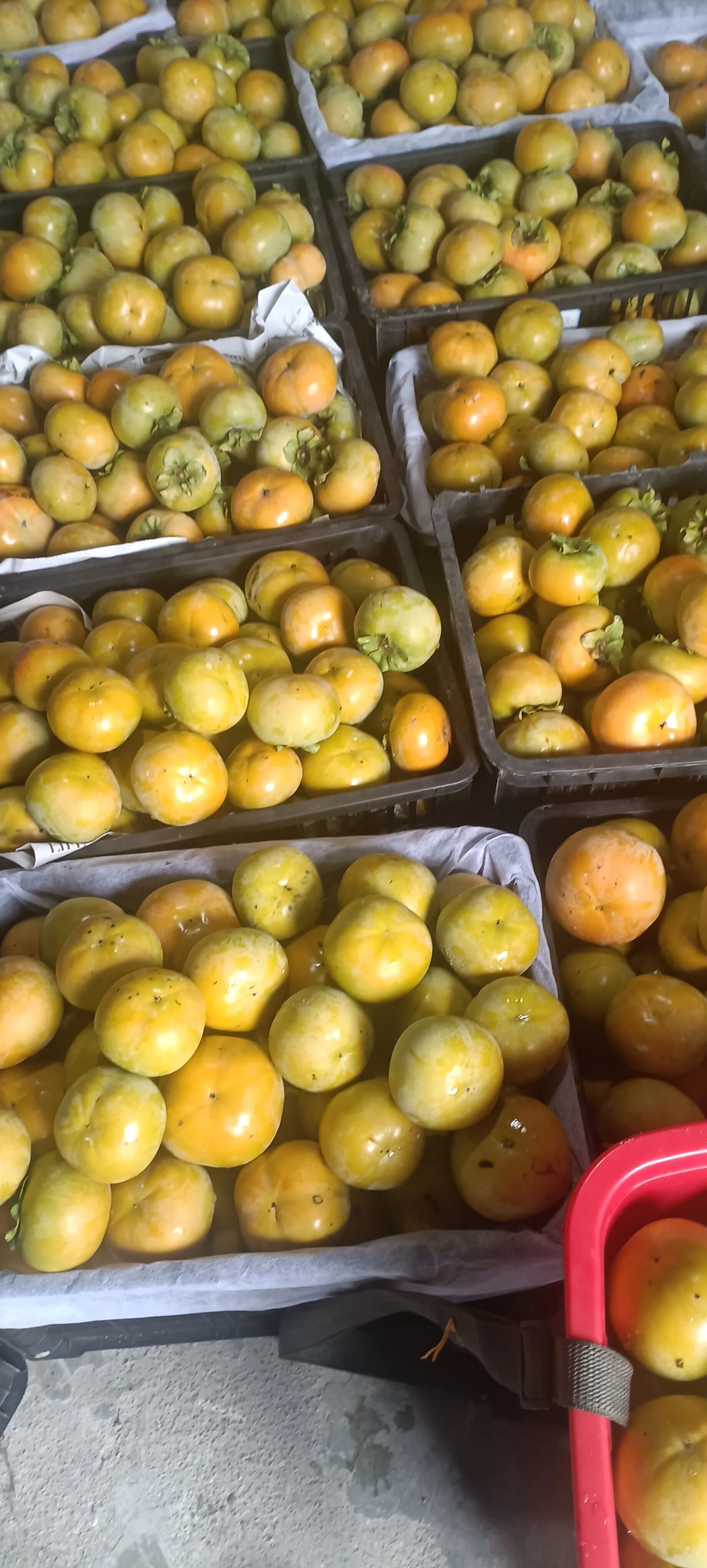 1760424258569472.jpg 690513b1174fbe276b022164eb42ec60.jpg