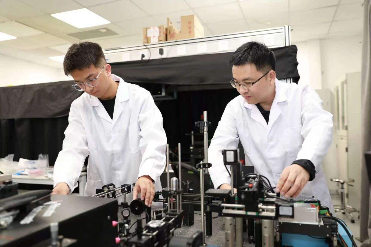 1764921396883333.jpg 018944ccee5b691745988ef397382585.jpg