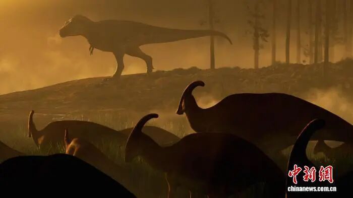 1773822300294744.jpg 842ce4389440e15ebea3dc18886526ac.jpg