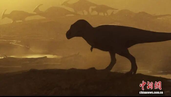 1773822300341366.jpg 3665ec85a7fdac705c4746d9cc37cdd8.jpg