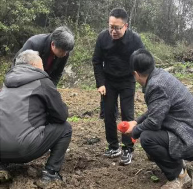 1775697596180185.png ScreenShot_2026-04-09_092228_377.png