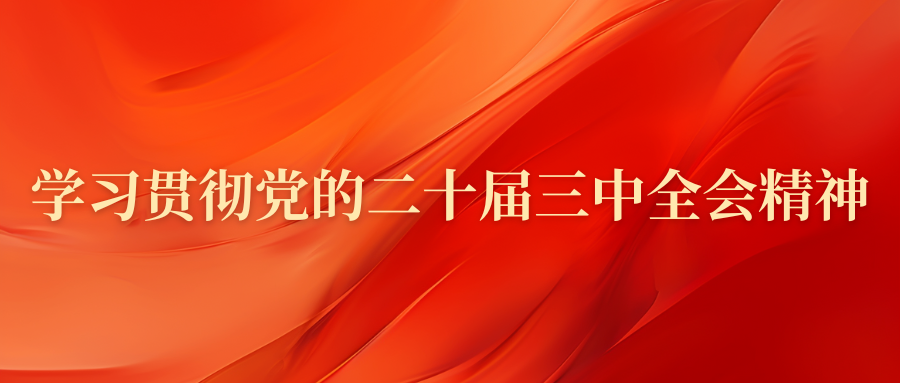 学习贯彻党的二十届三中全会精神.png