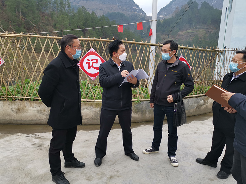 1582374917272479.jpg 图为在联山村查看问题整改情况.jpg