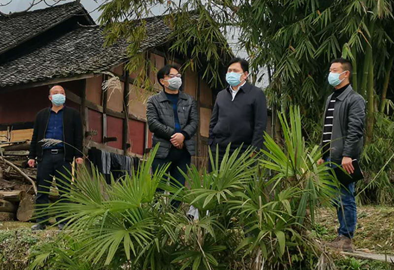 1582723308911784.jpg 图为陈达新在长丰乡出水村查看产业结构调整情况.jpg