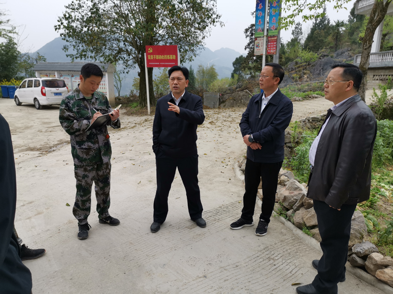1585299316246659.jpg 图为陈达新在高峰村查看人居环境整治.jpg