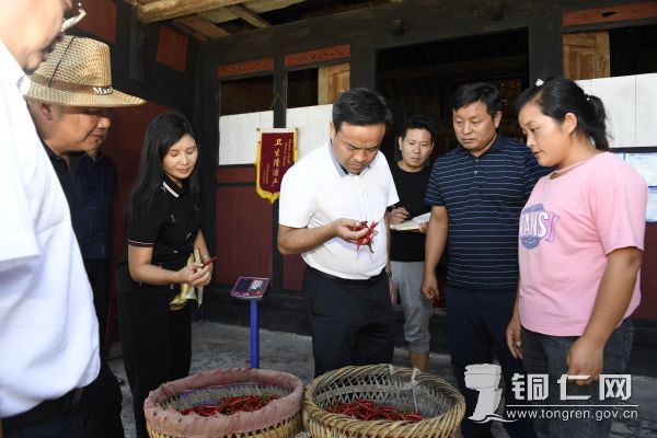 晓景乡吴家村1