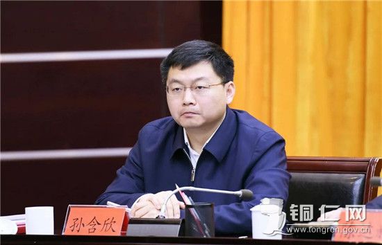 市委副书记孙含欣参加会议