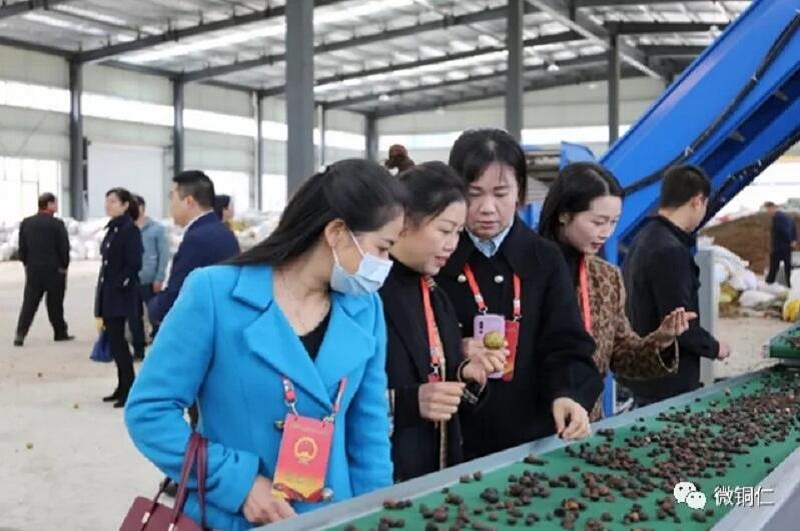 1641951029431519.jpg QQ截图20220112093009.jpg