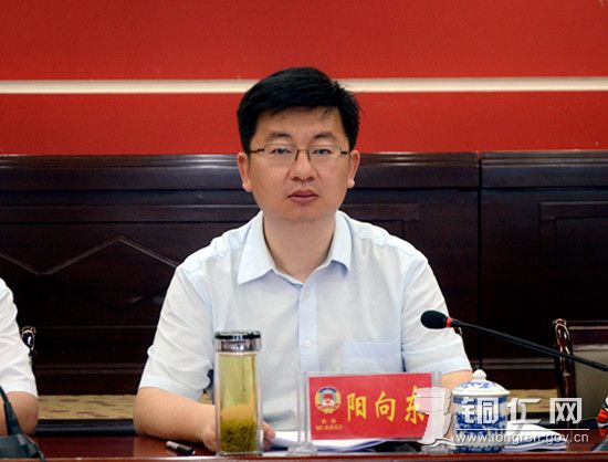 阳向东