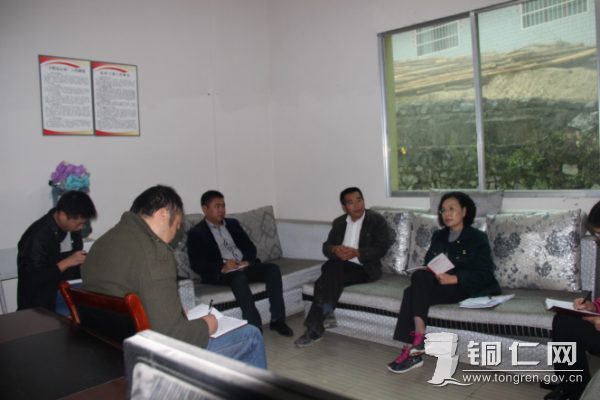 刘婕部长在村委会与村支两委开展座谈图片1