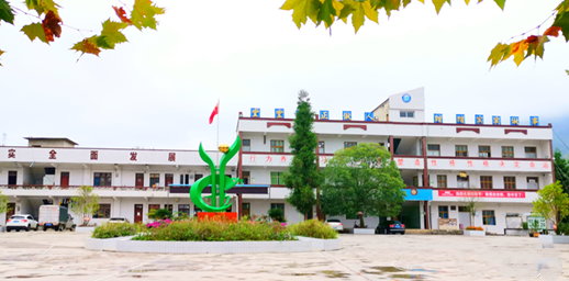 微信图片_20191010152433_副本.png