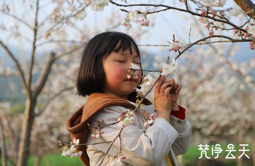 微信图片_20200227154941_副本.png
