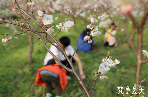 微信图片_20200227154946_副本.png