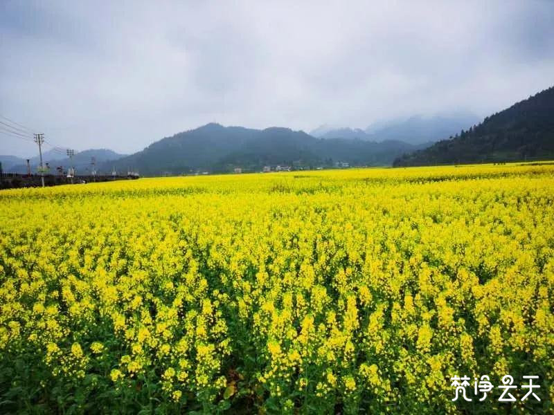 微信图片_20200308200112.jpg