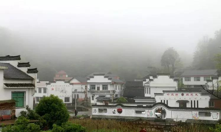 1630920711749583.jpg 1630920711749583.jpg