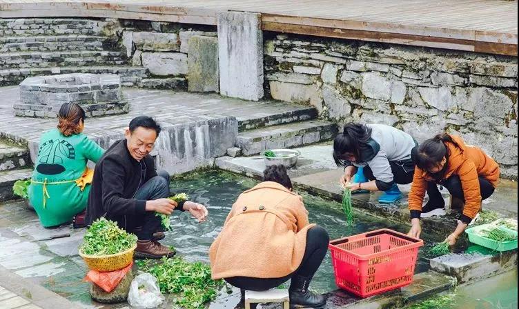 1630920743247879.jpg 1630920743247879.jpg