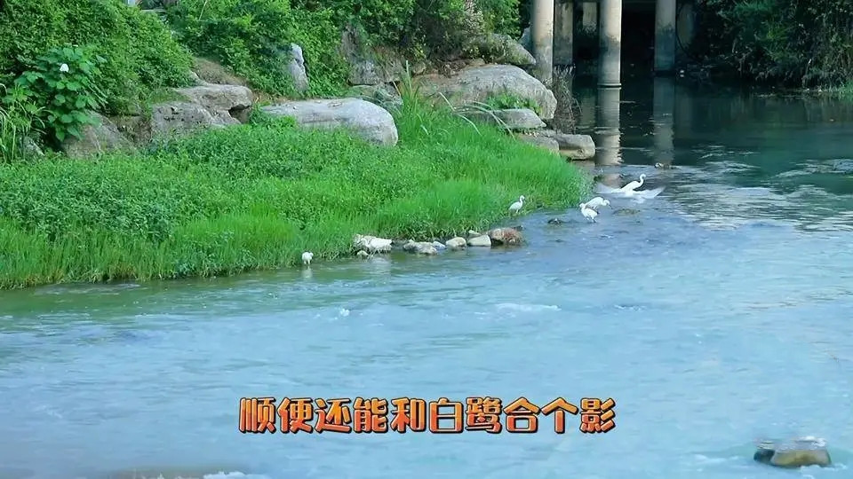 1631178881530029.jpg