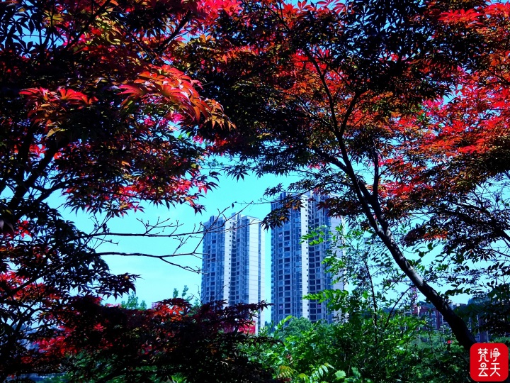 08.jpg