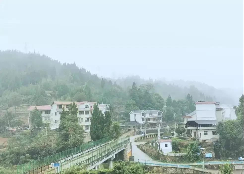 04.jpg