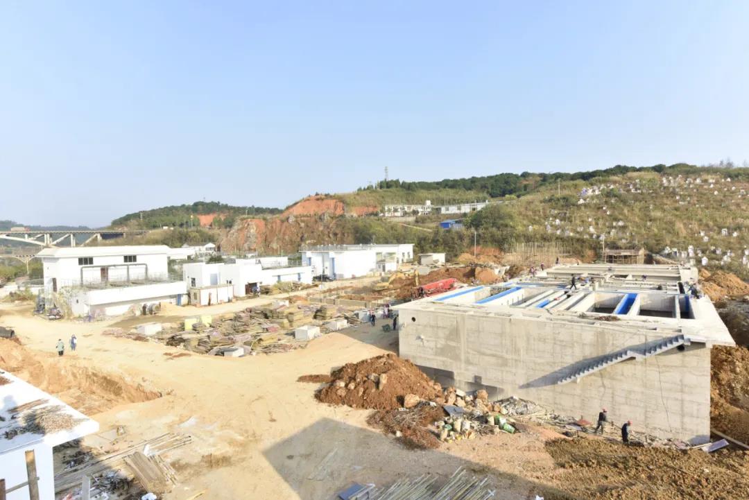 06.jpg