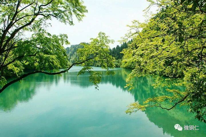 微信图片_20220706171554.jpg