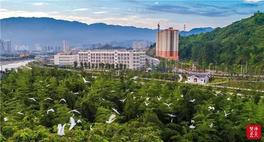 微信圖片_20220706172935_副本.jpg