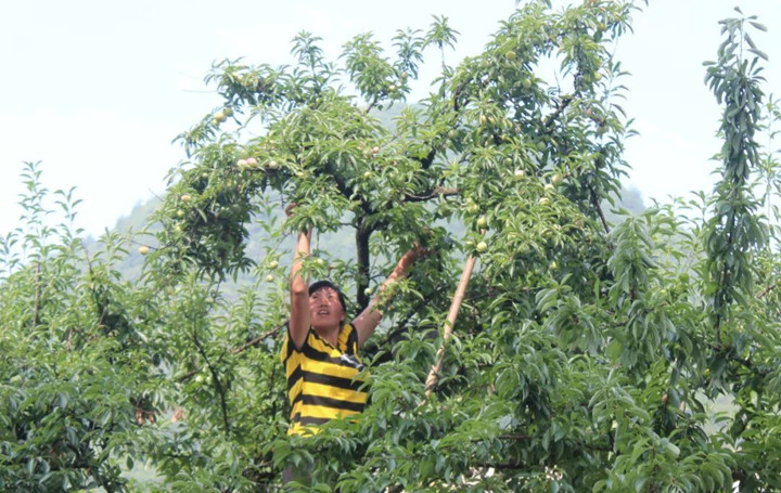 微信图片_20220718173133_副本.jpg