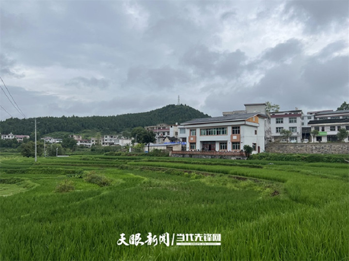 1658390169676_2_副本.jpg