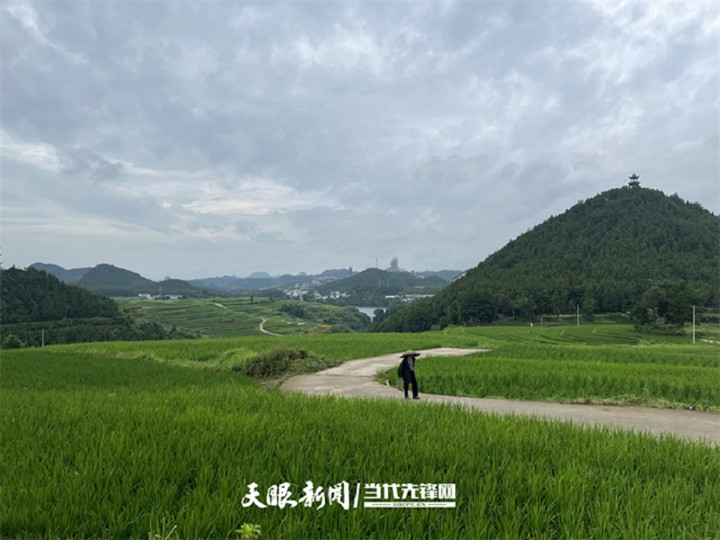1658390245863_4_副本.jpg