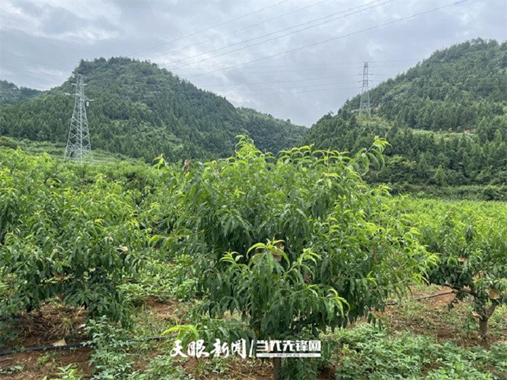1658390276598_6_副本.jpg
