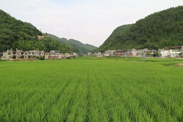 微信图片_20220803150451_副本.jpg