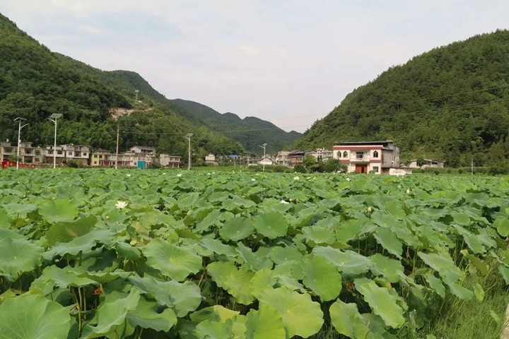 微信图片_20220803150803_副本.jpg