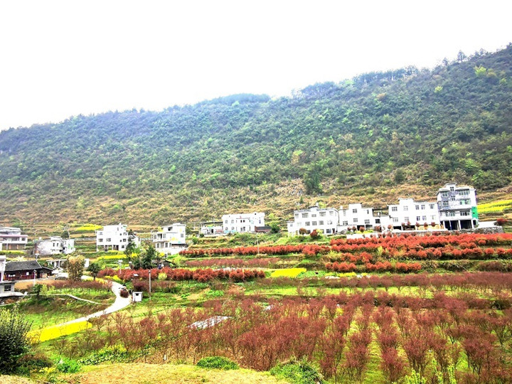 微信图片_20220804102816_副本.jpg
