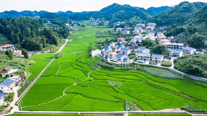 1659520088191_2_副本.jpg