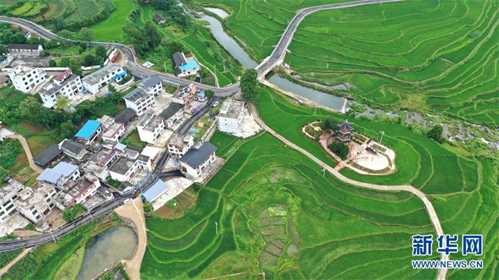 微信图片_20220809152803_副本.jpg