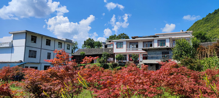 1659930189066_韩家村2_副本.jpg