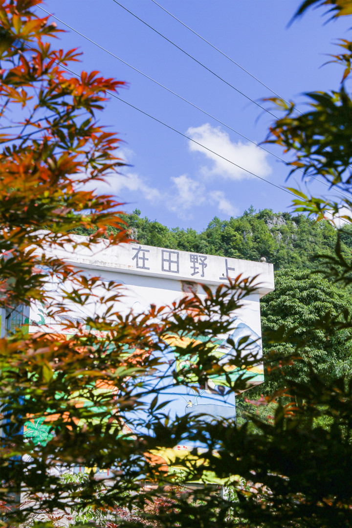 1659930401598_6_副本.jpg