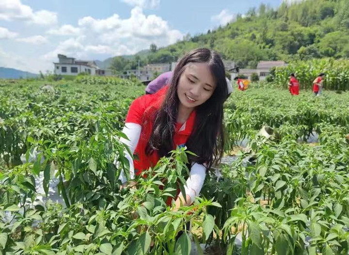 微信图片_20220812142442_副本.jpg