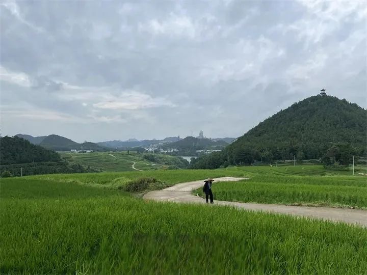 微信图片_20220830090856.jpg