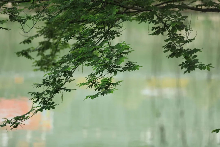 微信图片_20220830112045_副本.jpg