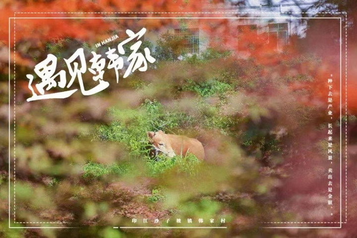 微信图片_20220905155652_副本.jpg